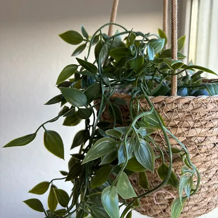 Modernes Dornberg * Bielefeld